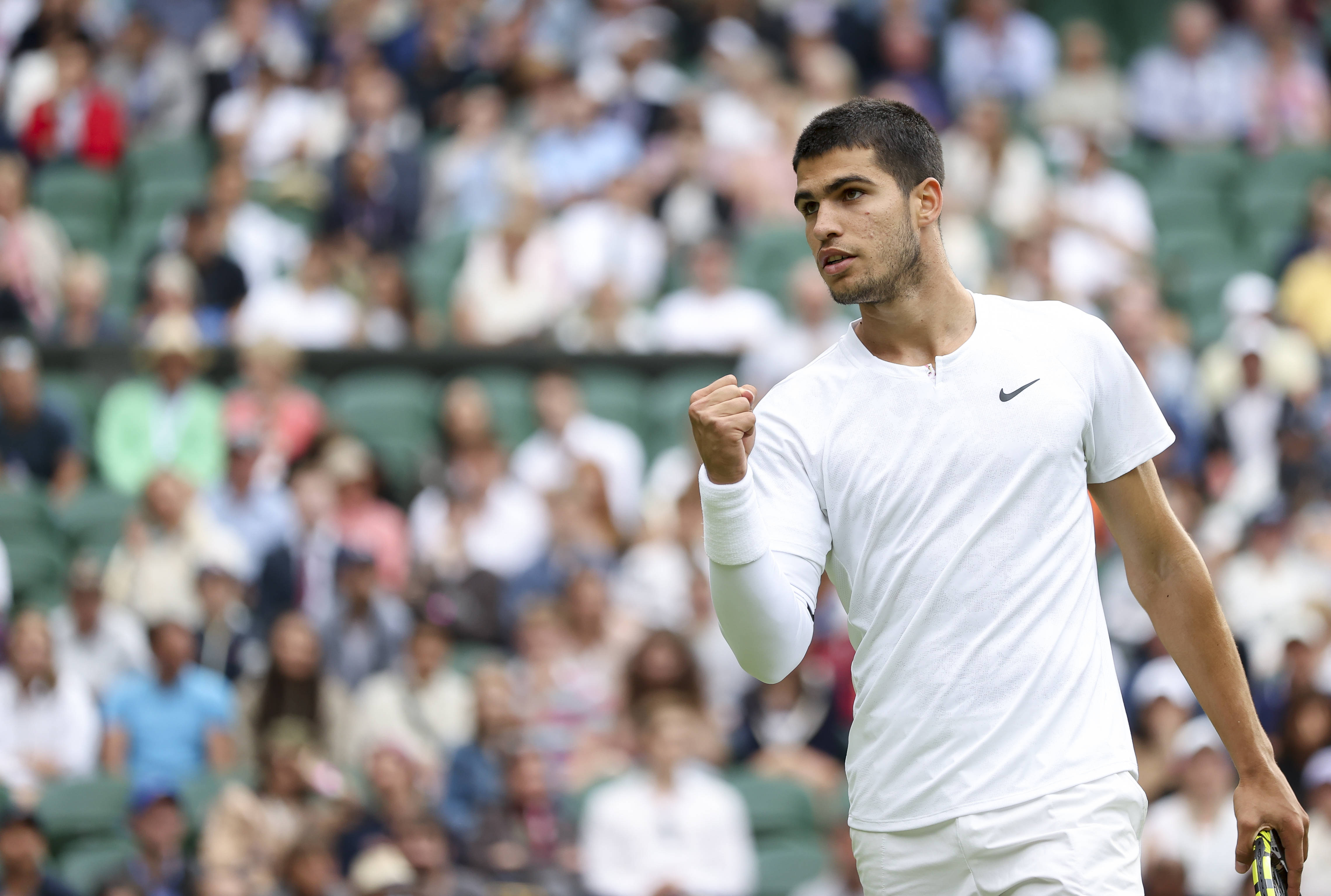 本文将为您 本文将为您